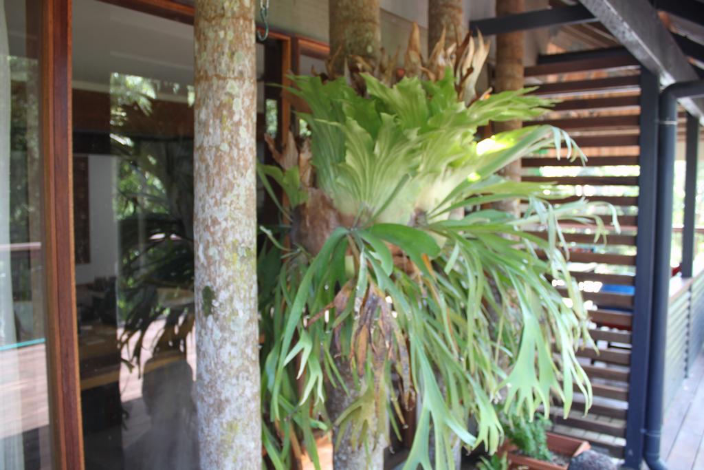 Ferienwohnung Pk Illusions Maleny Exterior foto